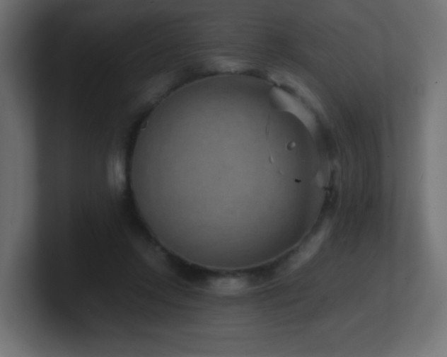 X0000100940358200806241432