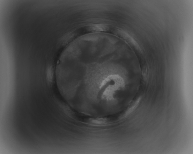 X0000100940359200806241432