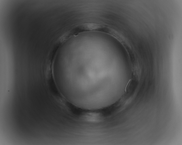 X0000100940360200806241432