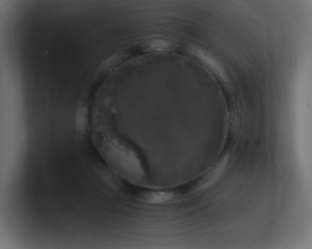 X0000100940361200806241432