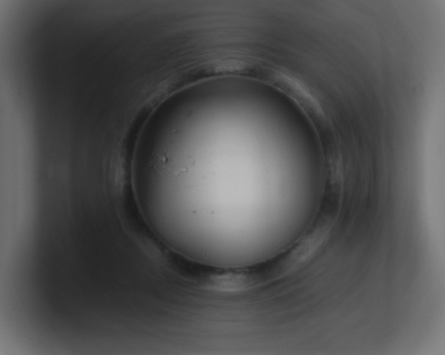 X0000100940362200806241432