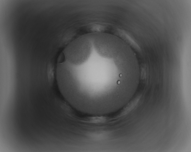X0000100940363200806241432
