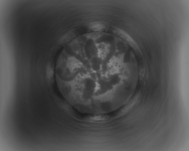 X0000100940365200806241432