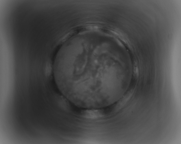 X0000100940367200806241432