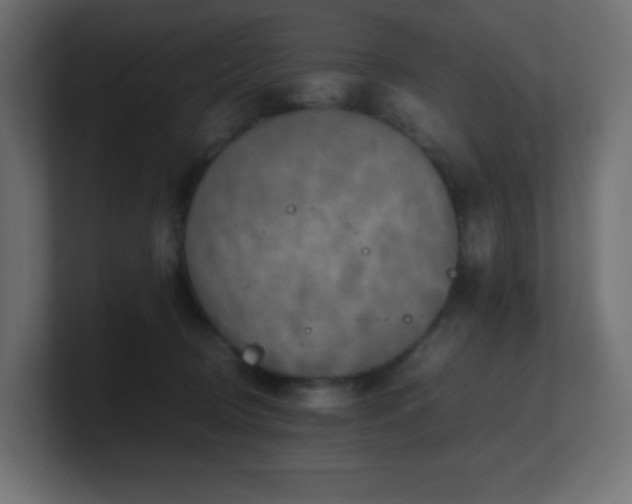 X0000100940370200806241432