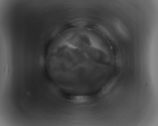 X0000100940371200806241432
