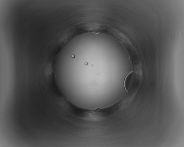 X0000100940372200806241433