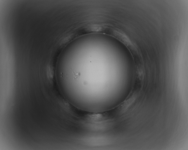 X0000100940374200806241433