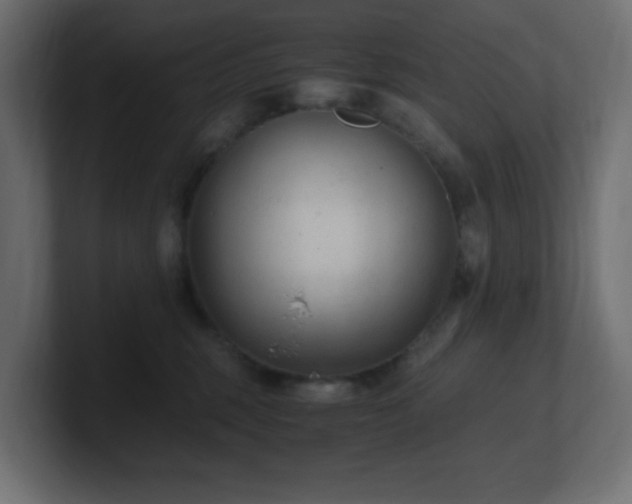 X0000100940375200806241433