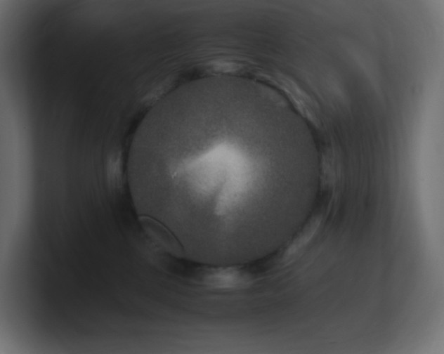 X0000100940377200806241433