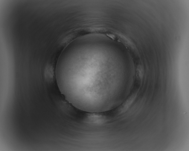 X0000100940380200806241433