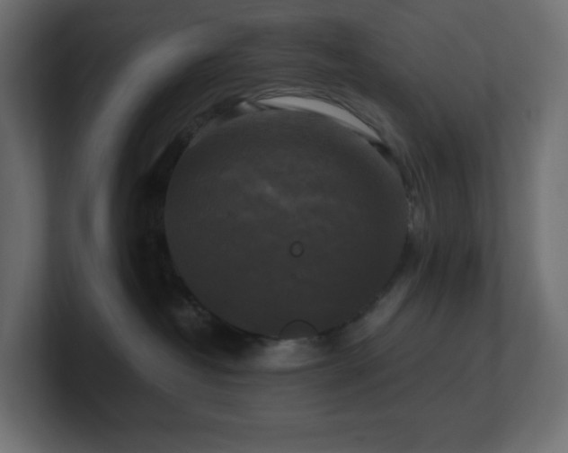 X0000100940382200806241433