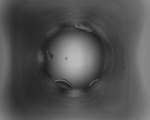 X0000100940384200806241433
