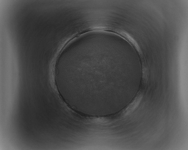 X0000100940385200806241432