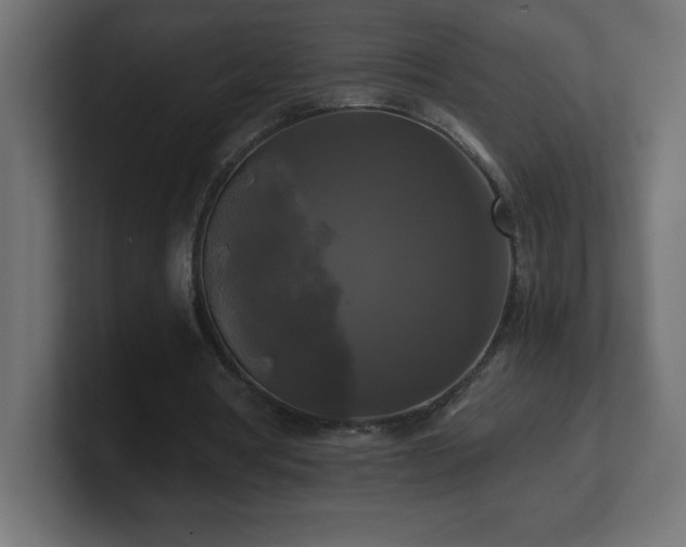X0000100940386200806241432