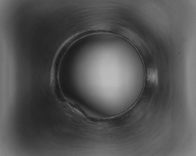 X0000100940388200806241432