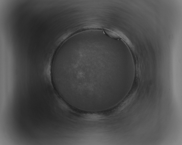 X0000100940389200806241432