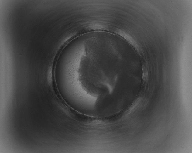 X0000100940390200806241432