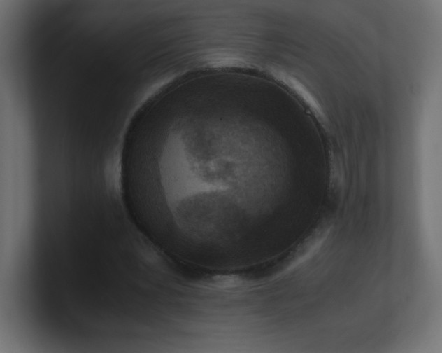 X0000100940391200806241432