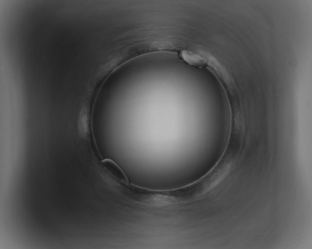X0000100940393200806241432