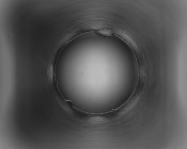 X0000100940397200806241432