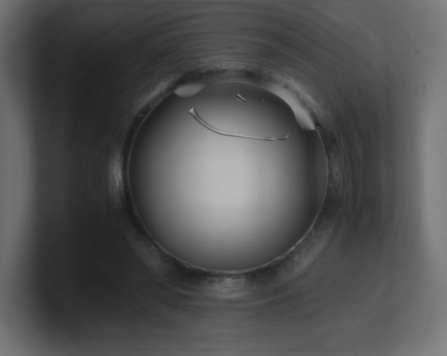 X0000100940398200806241432