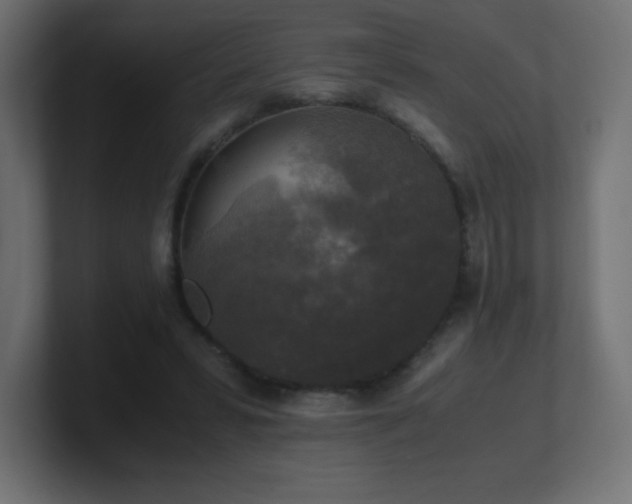 X0000100940399200806241432