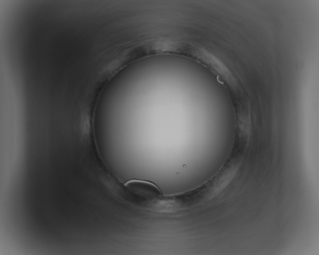 X0000100940401200806241432