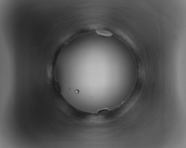 X0000100940403200806241432