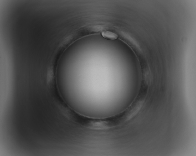 X0000100940407200806241432