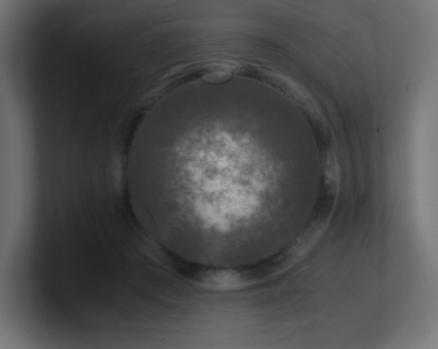 X0000100940409200806241432