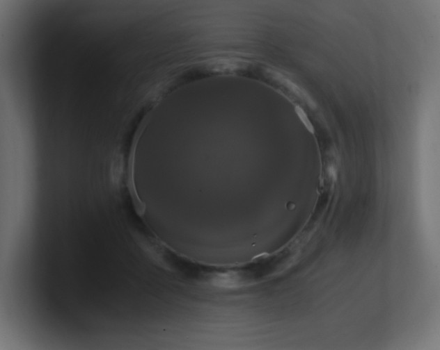 X0000100940411200806241432