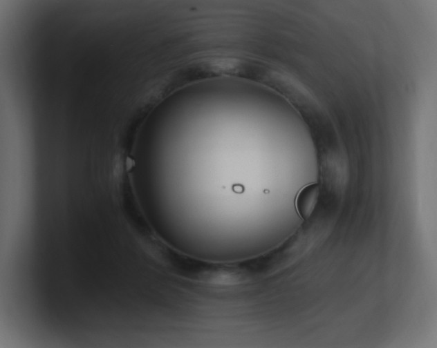 X0000100940412200806241432