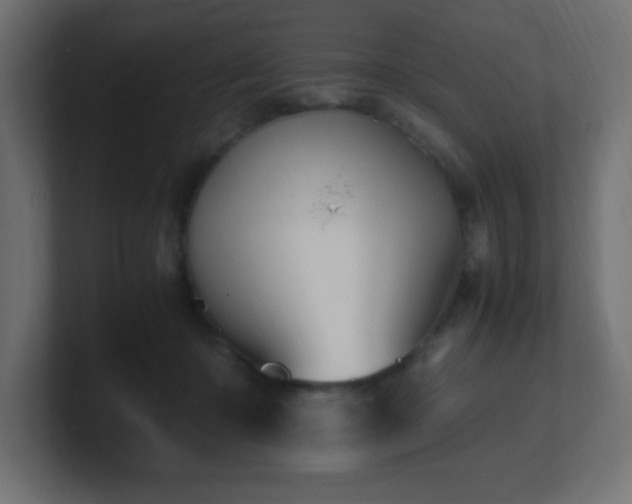 X0000100940414200806241432