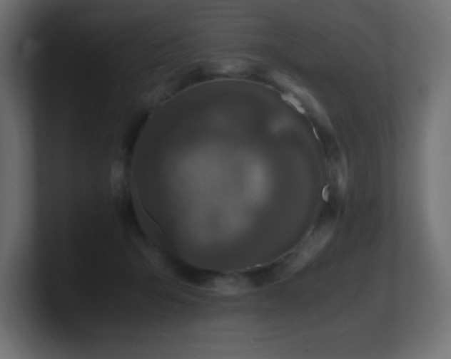 X0000100940415200806241432