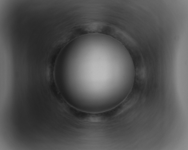 X0000100940416200806241432