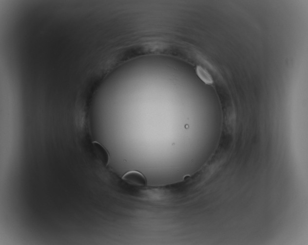 X0000100940417200806241431