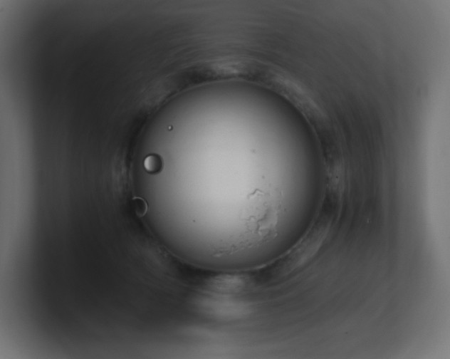 X0000100940418200806241431