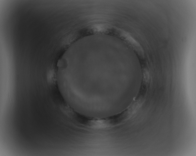X0000100940419200806241431