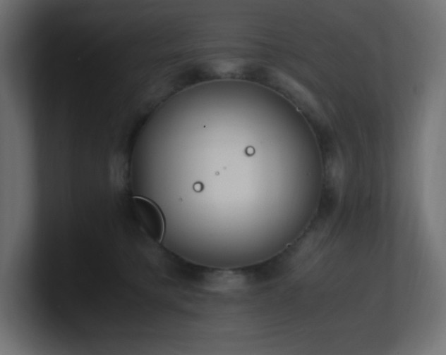 X0000100940421200806241431