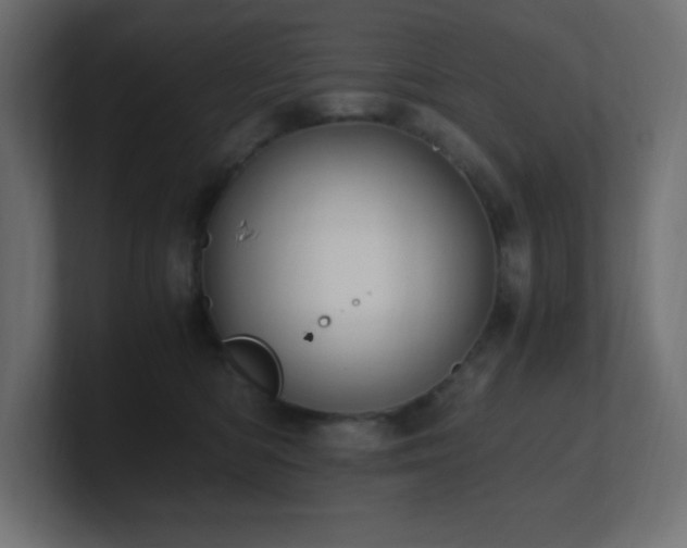 X0000100940422200806241431