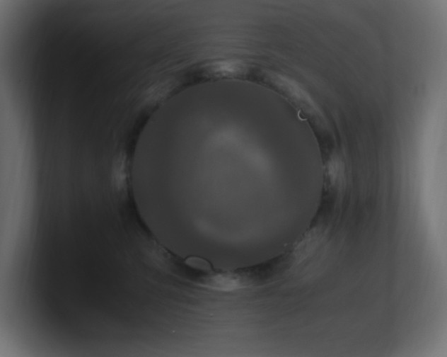 X0000100940423200806241431