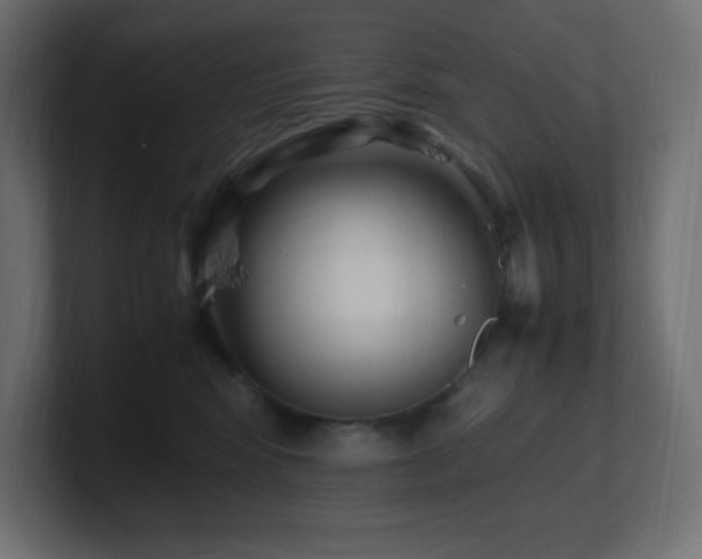 X0000100940424200806241431