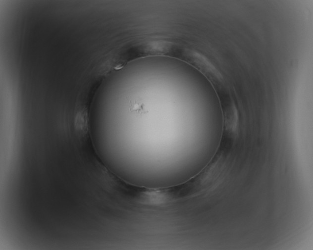 X0000100940425200806241431