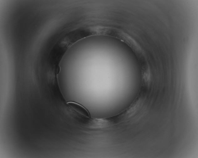 X0000100940429200806241431