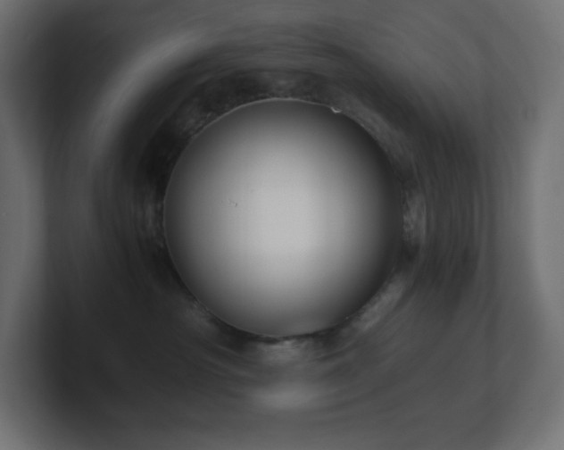 X0000100940430200806241431