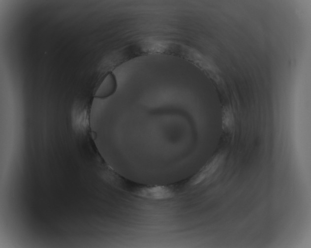 X0000100940431200806241431