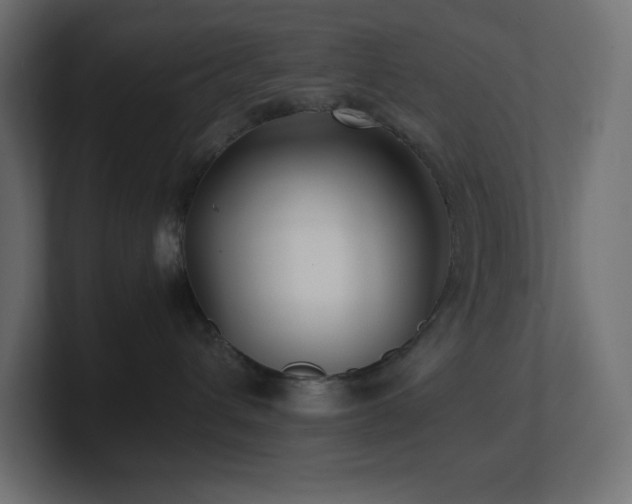 X0000100940432200806241431