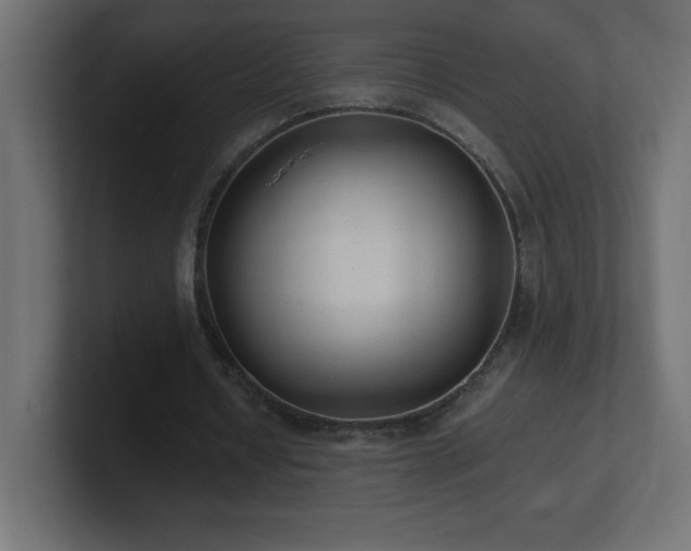 X0000100940434200806241431