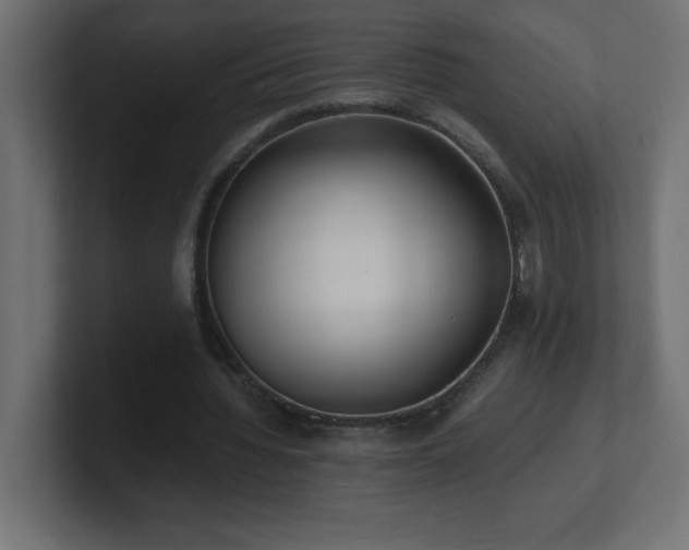 X0000100940436200806241431